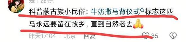 第一章，离别与重逢的序曲——蒙古马顽强归家之旅