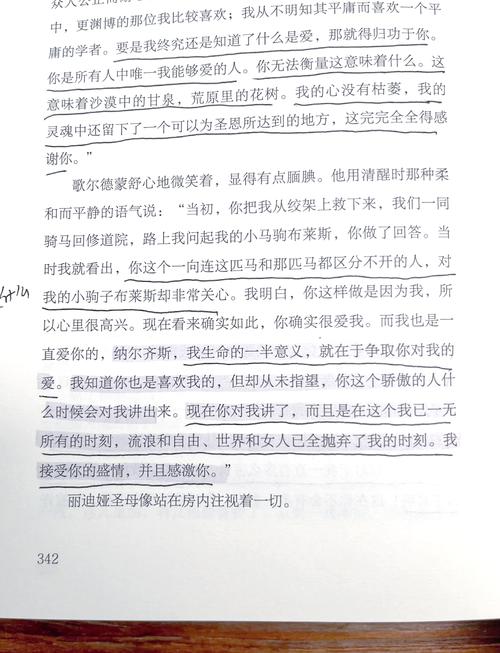 艾纳斯与伊蒂哈德，深度文化碰撞
