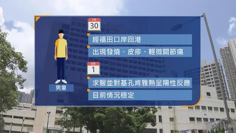 基孔肯雅熱 傳播途徑+病徵+診斷，衞生防護中心：局部傳播風險中至高