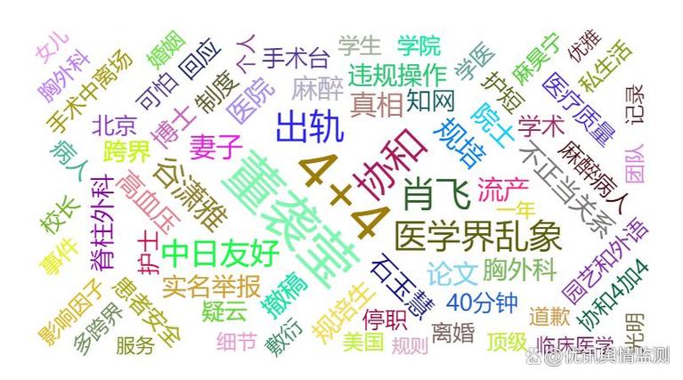 董袭莹的跨界之旅