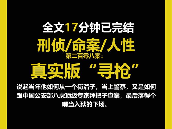刑侦12,深入探讨刑偵12