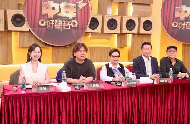 中年好聲音3決賽門票揭秘中年好聲音3決賽門票