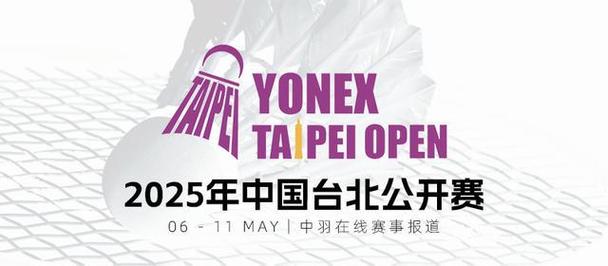 台北公開賽，一场竞技的深度剖析台北公開賽