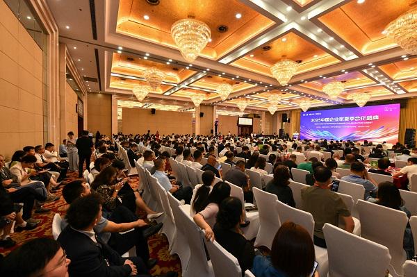 天九數科豪賭？免費低代碼平台能否解救中小企業數位轉型困境？