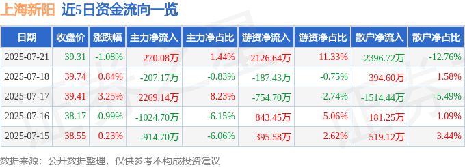 上海新陽資金暗湧：主力、游資角力，散戶生存術