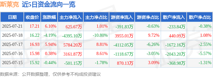 斯萊克股價飆升：資金、槓桿與基本面解讀