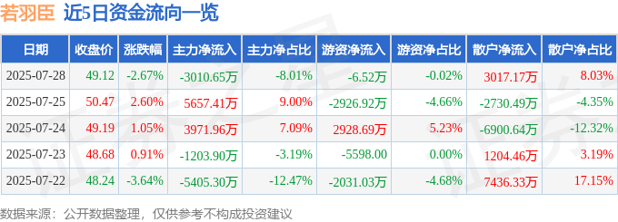 若羽臣股價下跌：主力撤退，散戶狂歡？資金流向解密