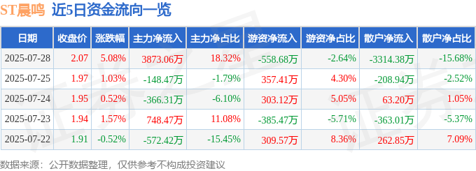 ST晨鳴股價異動：暴漲背後，財務困境與投資風險並存