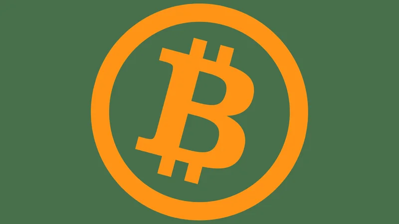 Bitcoin's Record-Breaking Rally: What's Behind the Price and What It Means for the Future