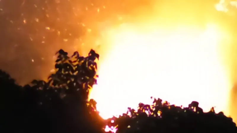 大同山 男子爬15米電塔觸電亡，意外引發火燒山