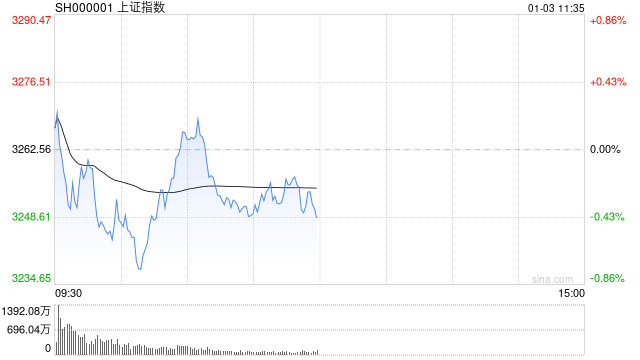 2025年1月3日中国股市：AI眼镜、减肥药概念股领涨，零售、旅游板块回调