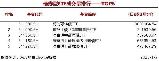 2025年1月3日ETF市场成交量分析：国泰中证A500ETF领跑