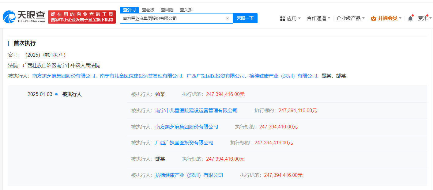 黑芝麻集团2.4亿执行标的案件深度解读：区块链技术在金融风险管理中的应用前景